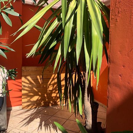 Villa Coyoacan Cidade do México Exterior foto