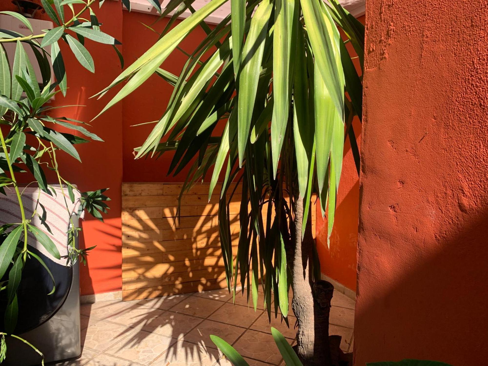 Villa Coyoacan Cidade do México Exterior foto